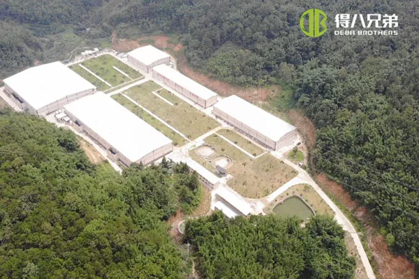 ãFolyékony takarmányozási rendszerãGuangdong Zhaoqing 20000 hízó 10000 elválasztott sertéstelep.