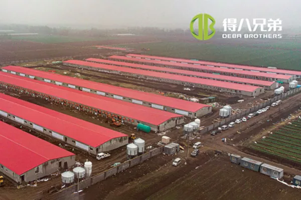 ãTeljes sor projektãShandong Zhucheng4800 kocafarm