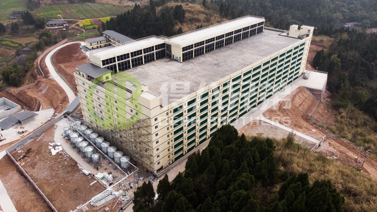 Hogyan lehet javítani a környezet minőségét a modern sertéstelep-tervezésben