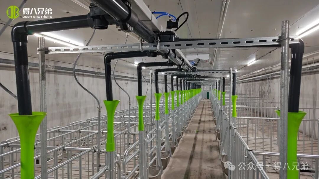 Deba Brother Licha fekete sertés tenyésztési és termesztési bemutató bázis - 2000 koca integrált műveletei, 50 000 éves vágás, 67 000 négyzetméter