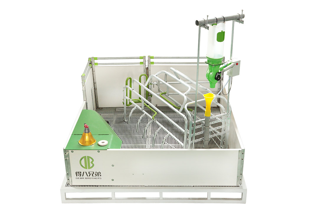 WELSAFE fialókar laza kocák számára – Fókuszban az állatok jóléte